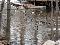 IMG_1078