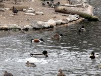 IMG_1079