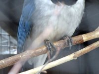 IMG_1087