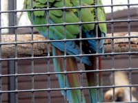 IMG_1092