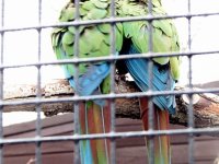 IMG_1096