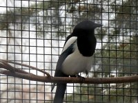 IMG_1097