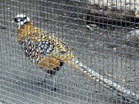 IMG_1103