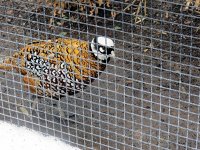 IMG_1109