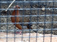 IMG_1111