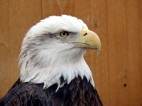 IMG_1126