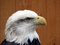 IMG_1128
