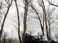 IMG_1130