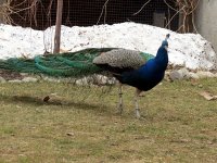 IMG_1131