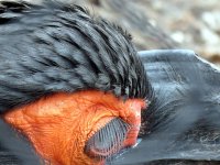 IMG_1140