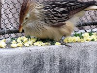IMG_1166