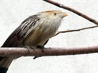 IMG_1171