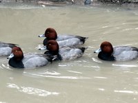 IMG_1181