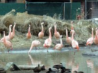 IMG_1182