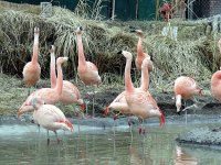 IMG_1186