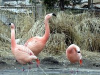 IMG_1189