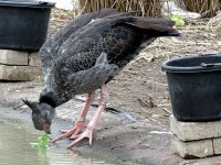 IMG_1191