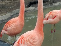 IMG_1204
