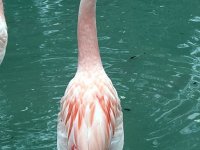 IMG_1206