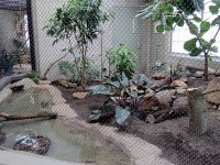 IMG_1212