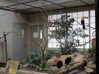 IMG_1216