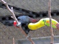 IMG_1220