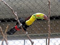 IMG_1227