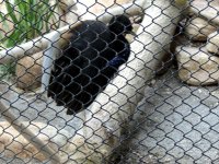 IMG_1232