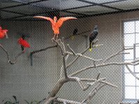 IMG_1235
