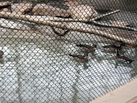 IMG_1240