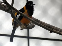 IMG_1252