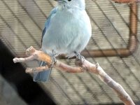 IMG_1269