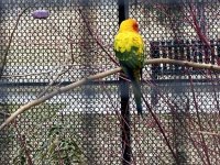 IMG_1275