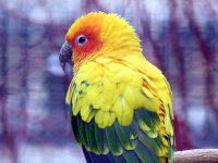 IMG_1280