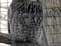 IMG_1297