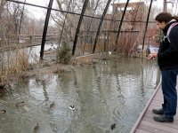 IMG_1323