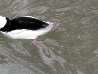 IMG_1324