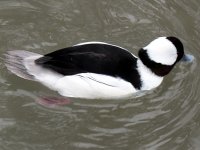 IMG_1325