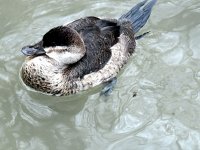 IMG_1326