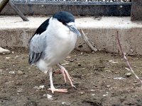 IMG_1328