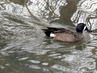 IMG_1330