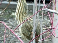 IMG_1331