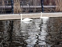 IMG_1344