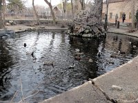 IMG_1345