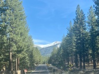 IMG_8059