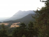 img_0036