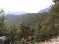 img_0040