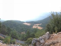 img_0042
