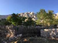 img_0061