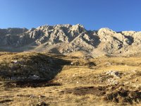 img_0063